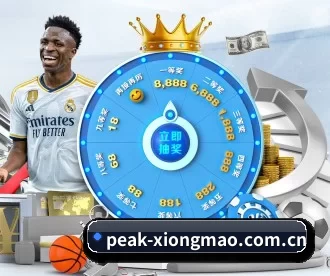 peak-xiongmao.com.cn APP